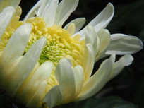 ΢���ɫ�ջ�