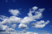 �����ƾ�ͼ