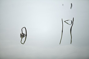 �����кɵ�Ӱ