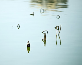 �����кɵ�Ӱ