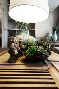 ����ֲ��