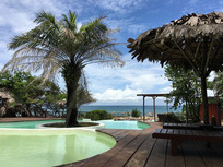 ����Ӿ��