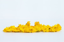 �ƾո�Ҷ�ױ���