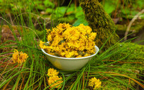 �ƾո�ҶҰ�⻷������