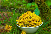 �ƾո�ҶҰ������