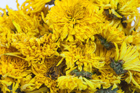 �ƾվջ�����д