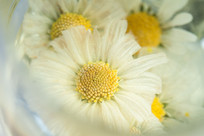  ���ݻƾվջ����ݻ�����д