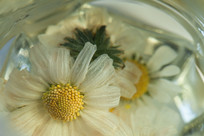  ���ݻƾվջ�������д����