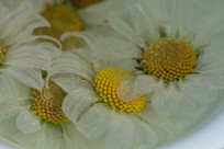  ���ݻƾվջ�������д�λ�