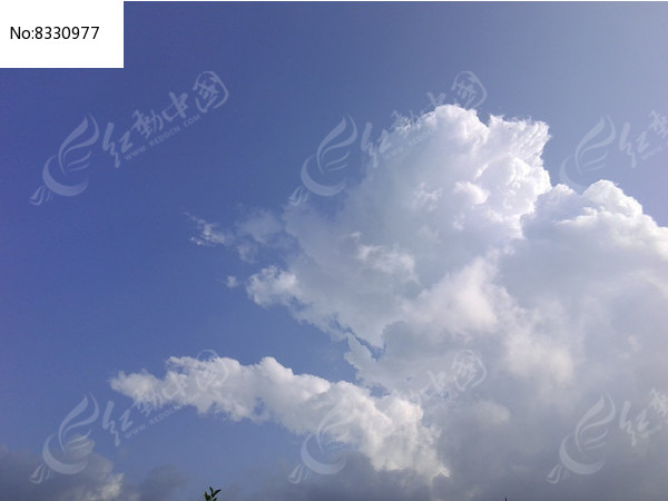 �������ͼƬ