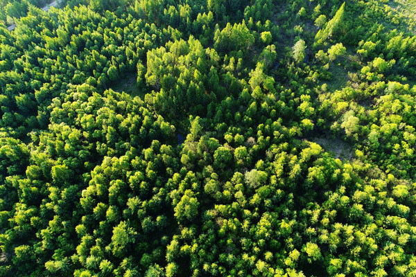 �ֺ����־��� ���� 