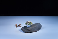 ��ɽҰ�ո�Ҷ�ױ���