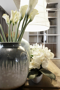 ʱ�мҾӰڼ��ٺϴ���