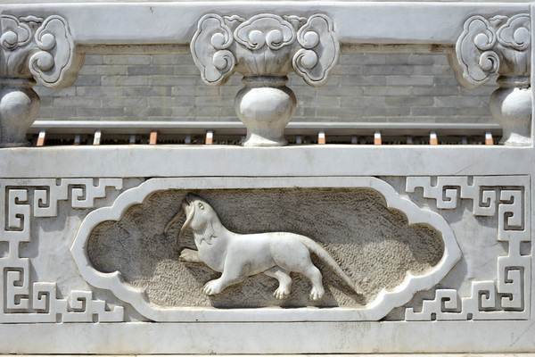 �����񸡵���