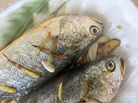 ��Ĥ�е���