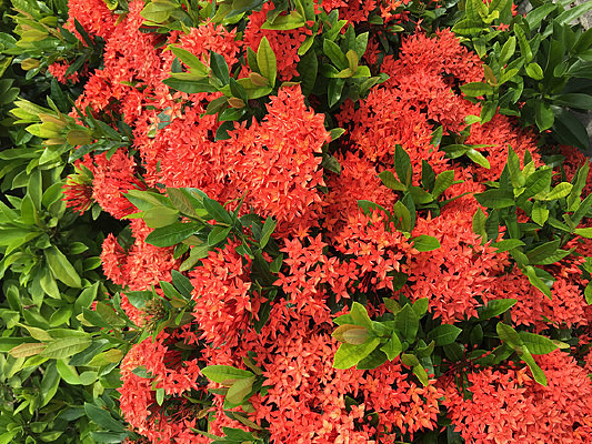 �������컨