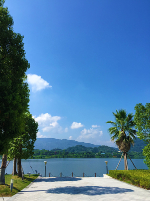 �����µķ羰