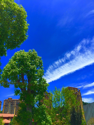 �����µ�����