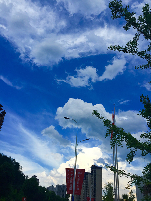 ·���ϵ�����