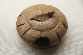 ������ɼ���