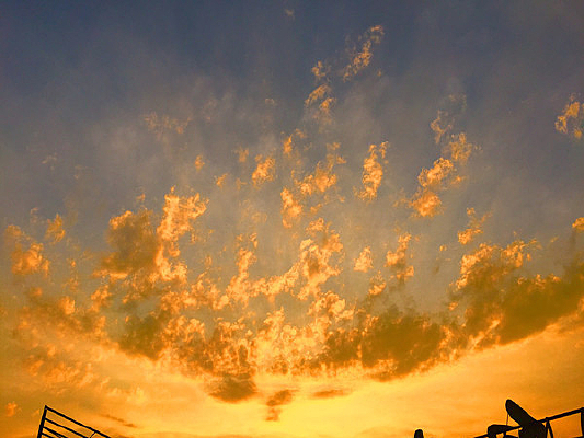 һƬ������