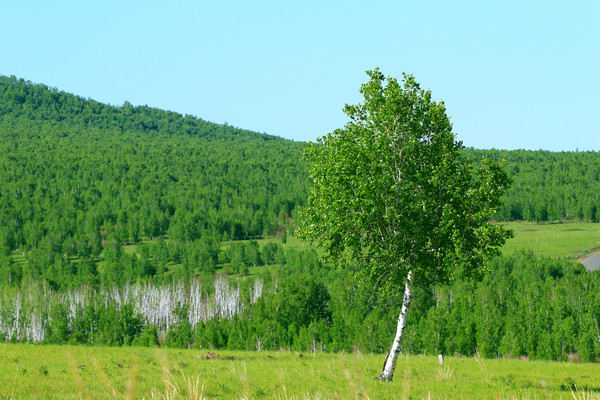 ԭҰ������ 