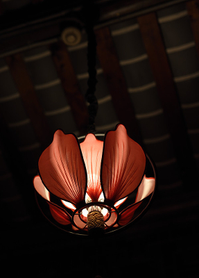 �й��绨�����