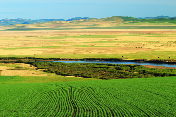 ��������羰 