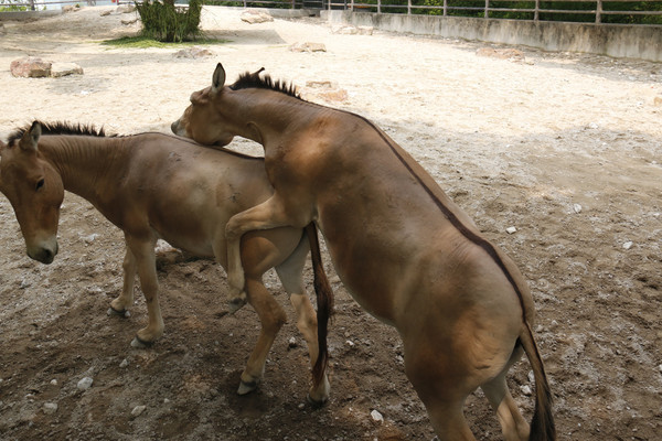 �����Ұ��