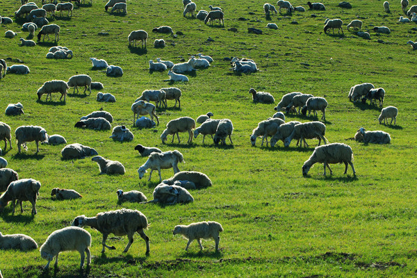 �ݵط�����