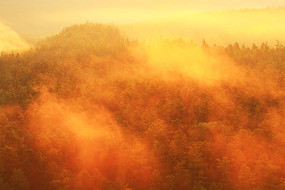 ɽ����������