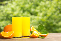 ������֭��ֲ�ﱳ����