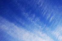 ˿˿���Ƶ��Ʋ�