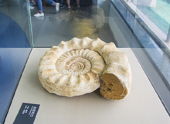 ���Ѽͻ�ʯĪ�پ�ʯ