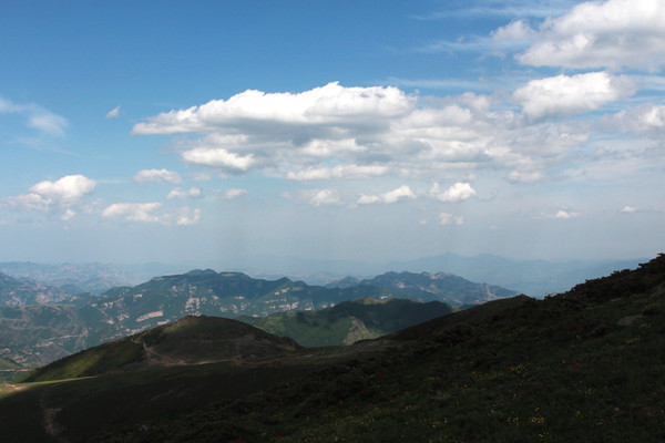 �߲��ϵ��ƶ�