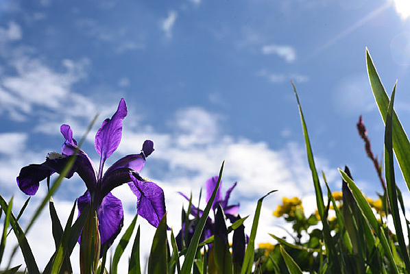 �Ŷ�ɽ�ϵĻ���