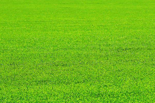 ��ɫ�����ﾰ��