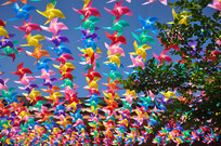 �����в���