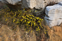 ӭ������ͷ