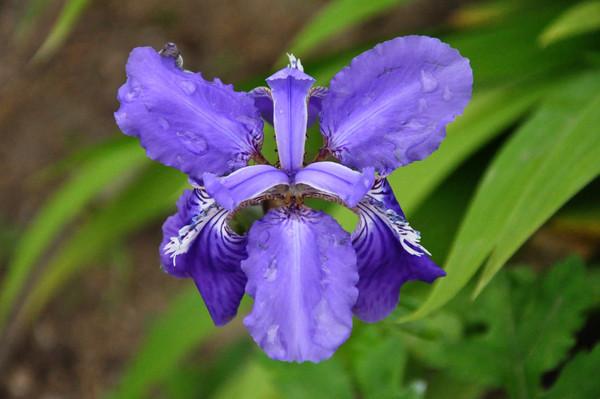 �������