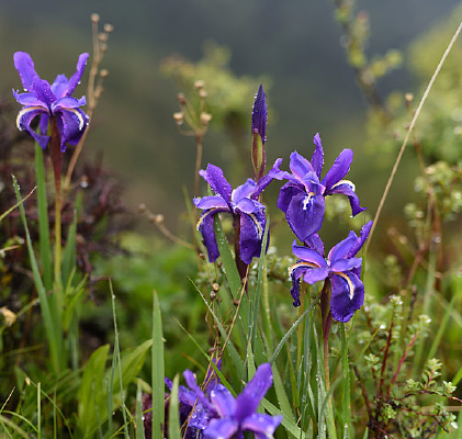 �����β��