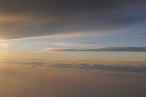 �Ʋ�������