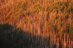 Ϧ�հ�����