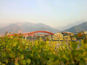 ���ײʺ���