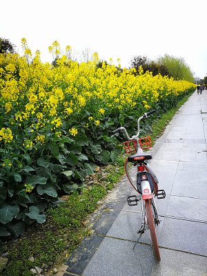 �����Ͳ˻���