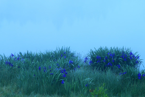 ��������������