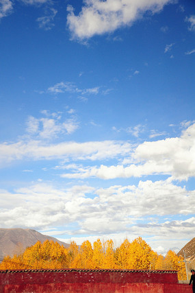 ��ԭ����