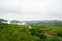 ���԰���