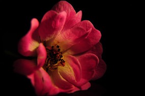 ΢������һ��컨