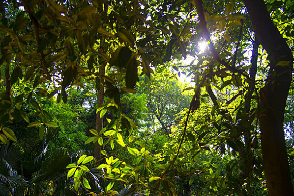 һ������